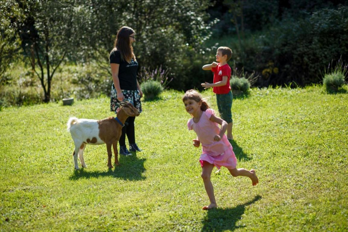 Kovacija Pri Kovacu Pensionat Podvelka Exteriör bild
